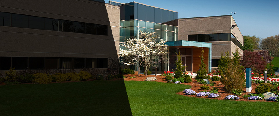 Ogilvie Landscapers
