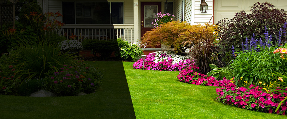 Ogilvie Landscapers