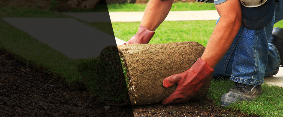 Ogilvie Landscapers